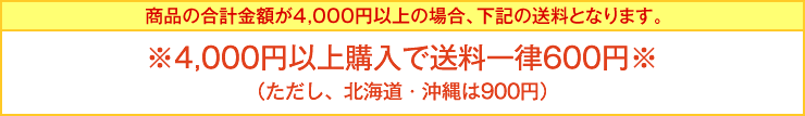 商品の合計金額が4,000円以上の場合、下記の送料となります。